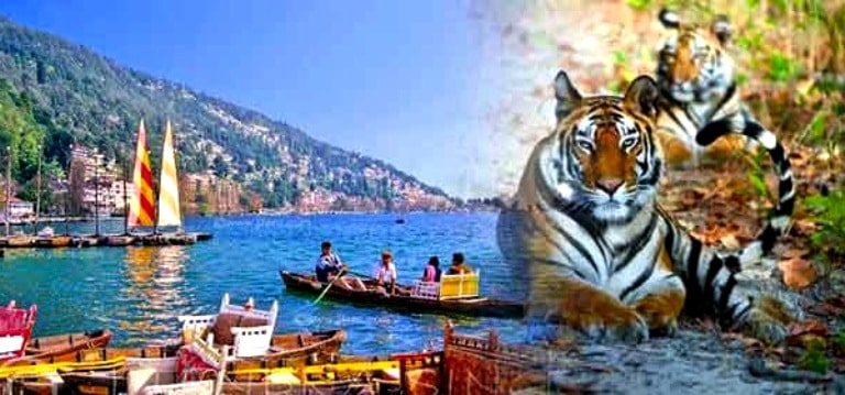 Jim Corbett Holiday Tour Packages | call 9899567825 Avail 50% Off